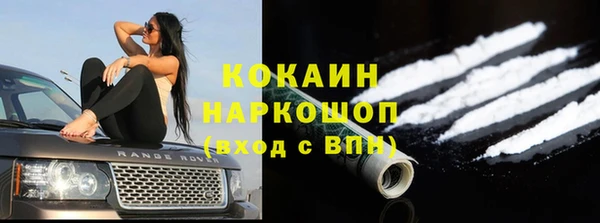 apvp Алексин